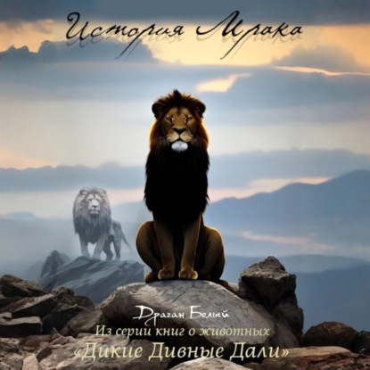 

История Мрака