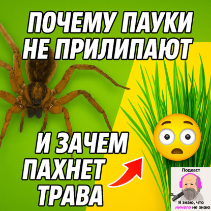 Почему пауки не прилипают и и зачем пахнет трава