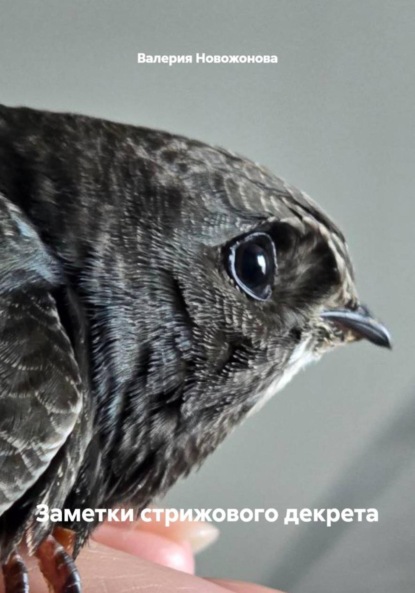 

Заметки стрижового декрета