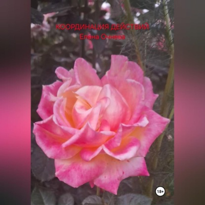 Координация действий