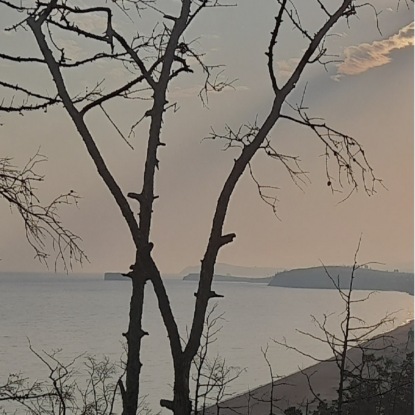 Сила огня. Музыка шаманского бубна для транса, отдыха, медитации, снятия стресса