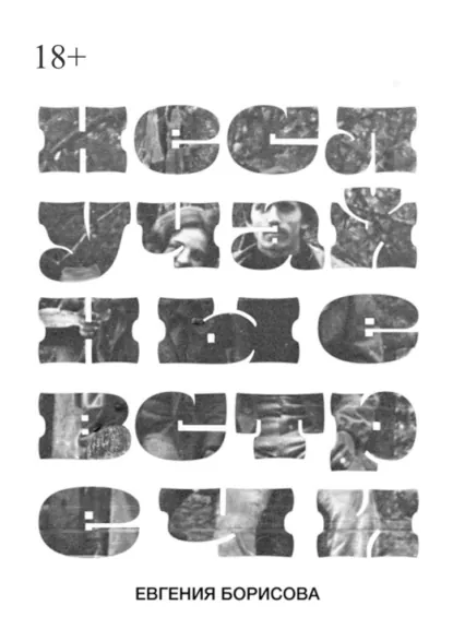 Обложка книги Неслучайные встречи, Евгения Борисова