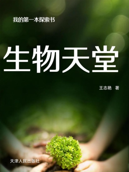 我的第一本探索书：生物天堂