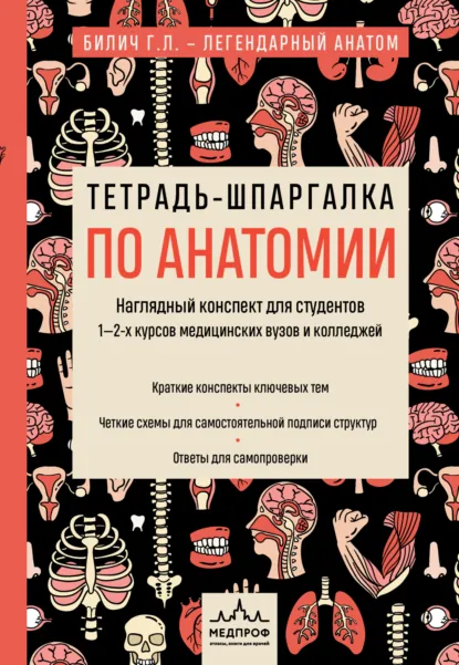 Обложка книги Тетрадь-шпаргалка по анатомии, Г. Л. Билич
