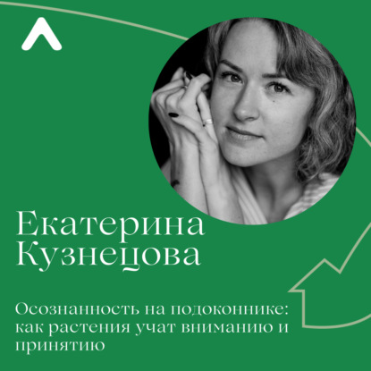 Осознанность на подоконнике: как растения учат вниманию и принятию