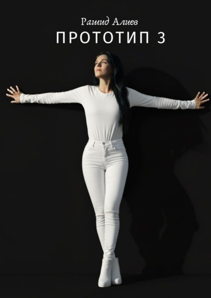 

Прототип – 3