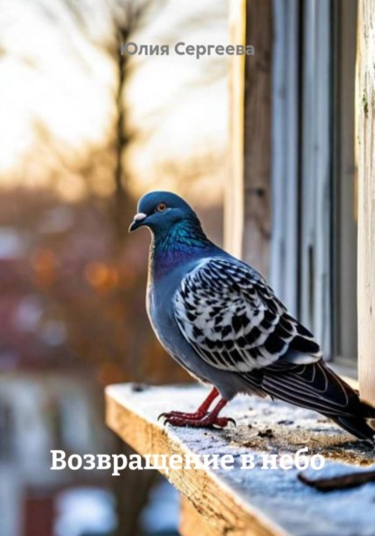 

Возвращение в небо