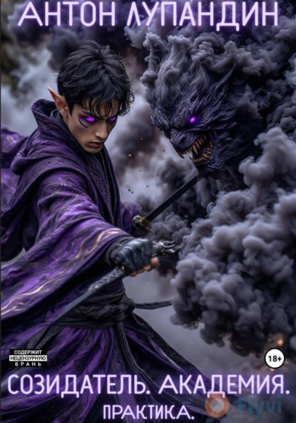 

Созидатель. Академия. Практика