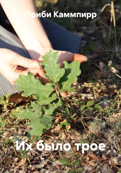 

Их было трое