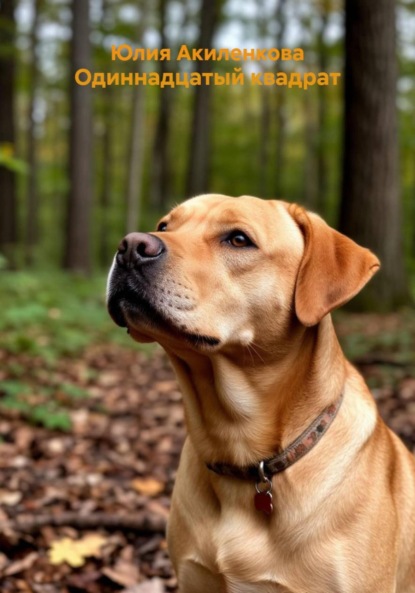 

Одиннадцатый квадрат