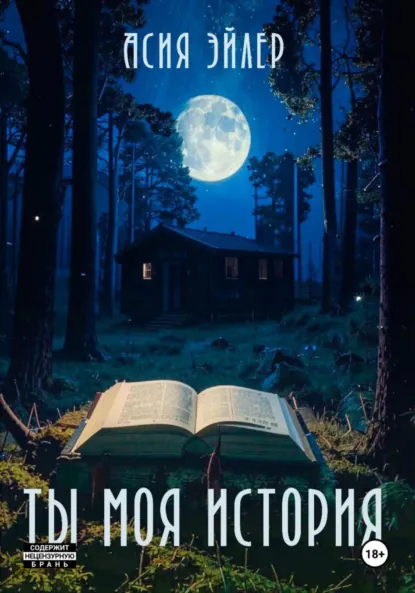 Обложка книги Ты моя история, Асия Эйлер
