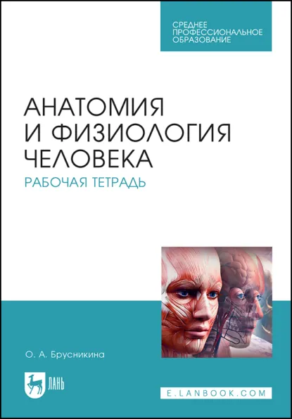 Обложка книги Анатомия и физиология человека. Рабочая тетрадь. Учебное пособие для СПО. 6-е издание, стереотипное, О. А. Брусникина