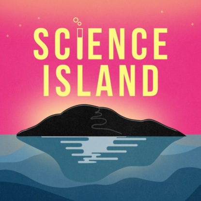 Открываем 4 сезон!