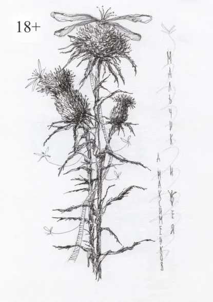 Обложка книги Мальчик и фея, Алексей Глебович Максименков