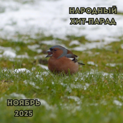 Народный хит-парад | ноябрь 2025 (12-12-2025)