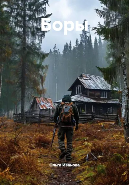 Обложка книги Боры, Ольга Иванова