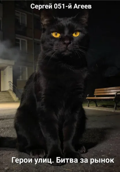 Обложка книги Герои улиц. Битва за рынок, Сергей 051-й Агеев