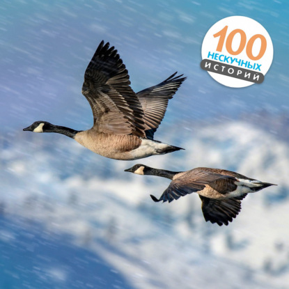 Однажды в бурю