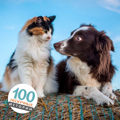 Настоящий друг