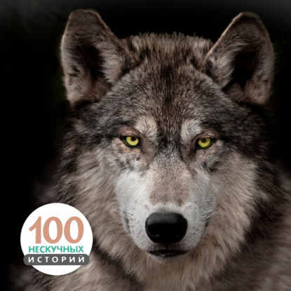 Случай в селе Прогибайкино