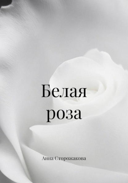 Белая роза