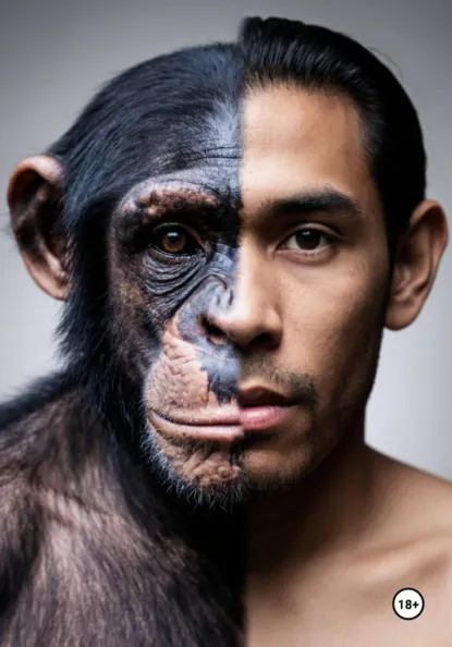 Обложка книги Послание пришельца человечеству: Эволюция сознания, Аноним Содомитов