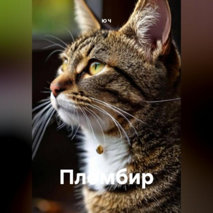 Пломбир