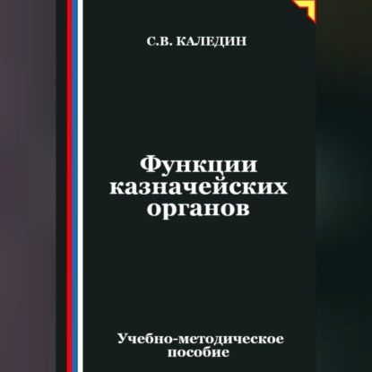 Функции казначейских органов