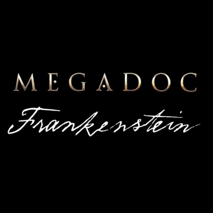 S31.06. МегаДок Франкенштейн