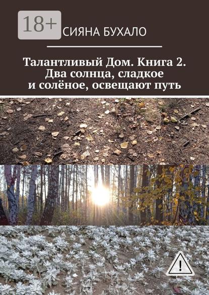 Талантливый Дом. Книга 2. Два солнца, сладкое и солёное, освещают путь