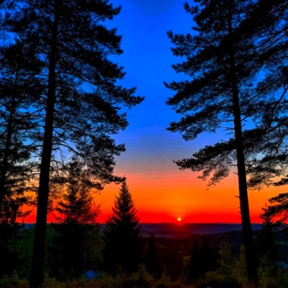 Стихотворение "Я местный". Автор Дмитрий Черниченко