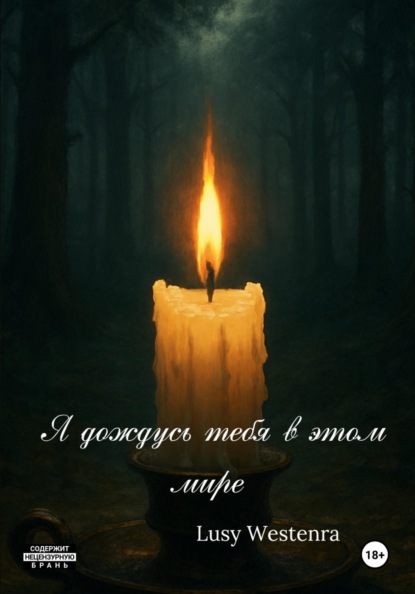 Я дождусь тебя в этом мире