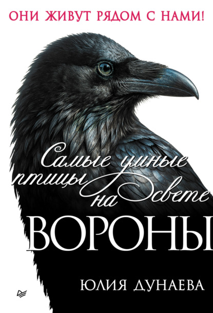 

Самые умные птицы на свете. Вороны