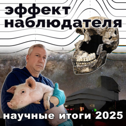 Научные итоги 2025