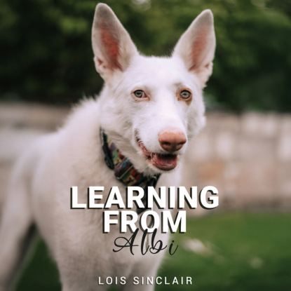 Learning from Albi (Unabridged)
