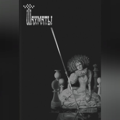 Шахматы