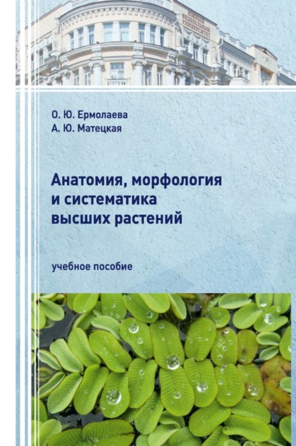 Анатомия, морфология и систематика высших растений.
