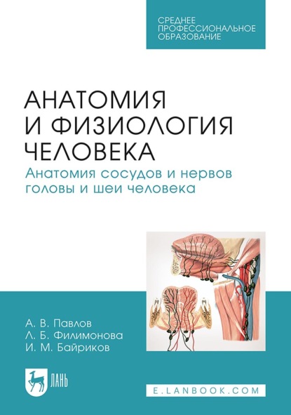 

Анатомия и физиология человека. Анатомия сосудов и нервов головы и шеи человека. Учебное пособие для СПО