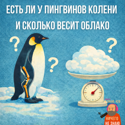 Есть ли у пингвинов колени и сколько весит облако