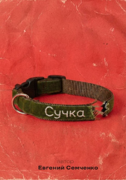 

Сучка