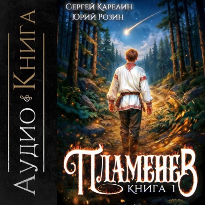 

Пламенев. Книга I