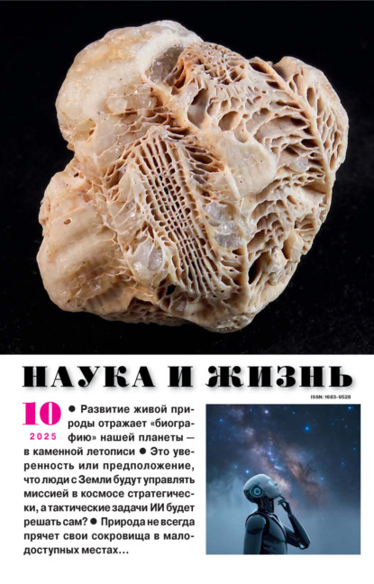 Наука и жизнь №10/2025