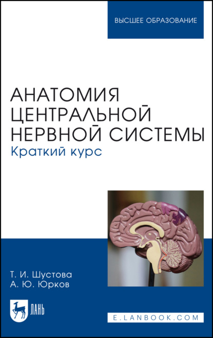 Анатомия центральной нервной системы. Краткий курс. Учебное пособие для вузов