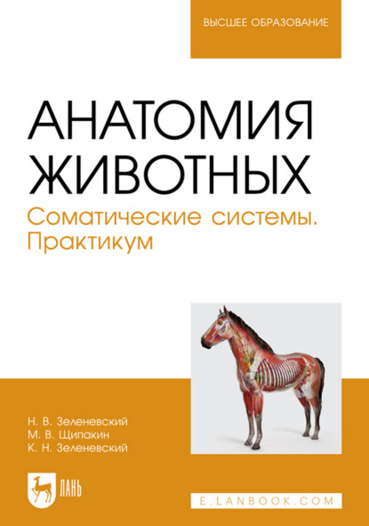 

Анатомия животных. Соматические системы. Практикум. Учебное пособие для вузов. 2-е издание, стереотипное