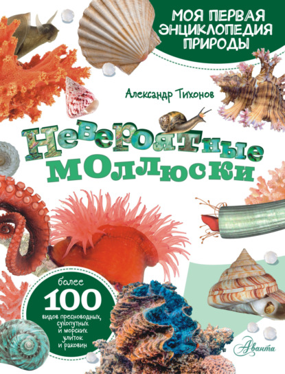 

Невероятные моллюски