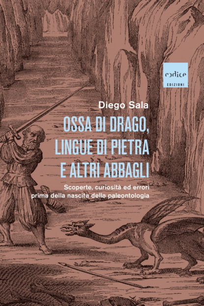 Ossa di drago, lingue di pietra e altri abbagli 
