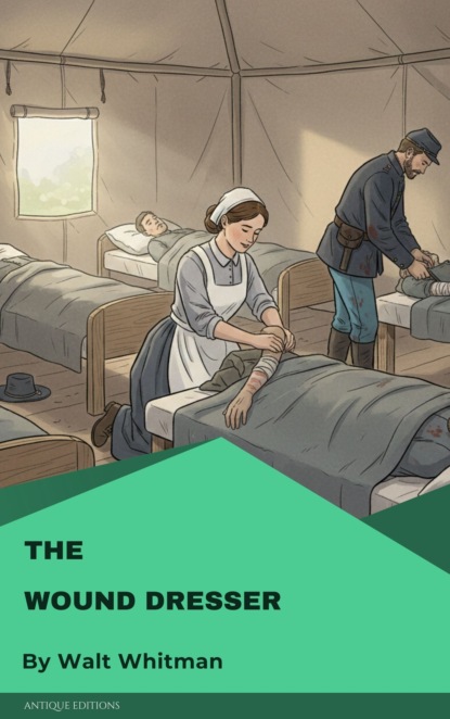 The wound dresser