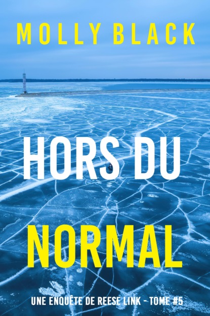 Hors du normal (Une enquête de Reese Link — tome 5)