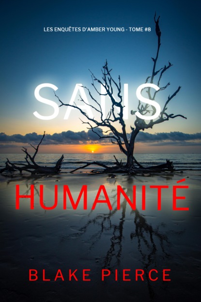 Sans humanité (Les Enquêtes d'Amber Young — tome 8)