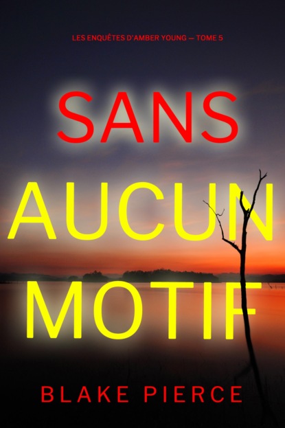 Sans aucun motif (Les Enquêtes d'Amber Young — tome 5)